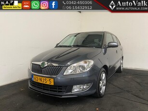 Škoda Fabia Combi 1.2 TDI Greenline (bj 2010)