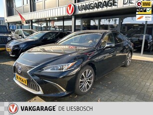 Lexus ES 300h Luxury Line/leer/navi/camera/stoel koeling