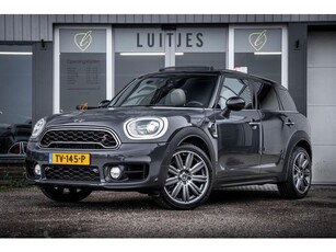 Mini Mini Countryman 2.0 Cooper S Chili AUT Leder Pano-dak