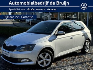 Skoda Fabia 1.2 TSI JOY (Trekhaak,Clima,Pdc,LM)