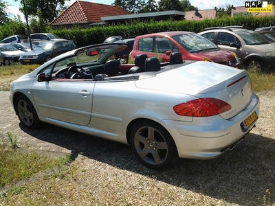 Peugeot 307 Benzine