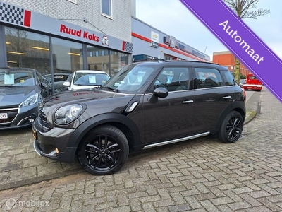 Mini Countryman Benzine