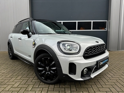 Mini Countryman Elektriciteit