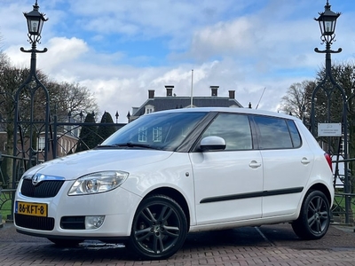 Skoda Fabia Benzine