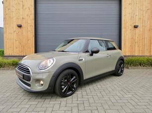 Mini 1.5 One Salt Automaat *Carplay*Cruise con*Unieke kleur