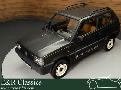 Fiat Panda 4x4 | Gerestaureerd | 1100cc | 1994