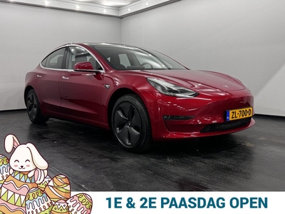 Tesla Model 3 Standard RWD Plus 60 kWh Autopilot, Leder, Navi, Camera, Pano