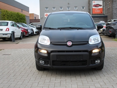 Fiat Panda 1.2 City Cross Clima-Bluetooth-USB 12 Maanden Bovag Garantie.