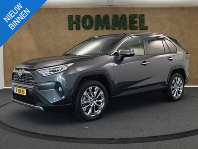 Toyota RAV4 2.5 Hybrid Executive NAVIGATIE - ELEKTRISCH