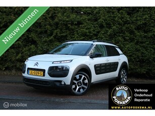 Citroen C4 Cactus 1.2 PureTech Shine, Navigatie