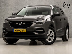 Opel Grandland X 1.2 Turbo Sport (APPLE CARPLAY, GROOT