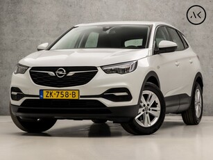 Opel Grandland X 1.2 Turbo Sport (APPLE CARPLAY, GROOT