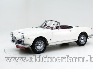 Alfa Romeo 1600 Giulia Spider '65 CH6255