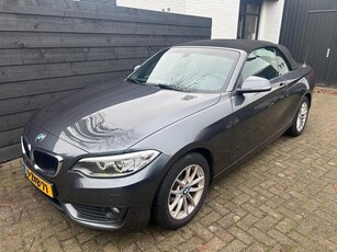 BMW 2-serie Cabrio 220i. Automaat, Org NL, Leder, Navi Prof