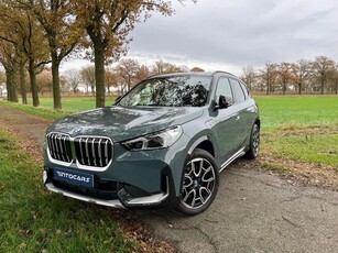 BMW X1 xDrive30e High Executive, alle opties met trekhaak.