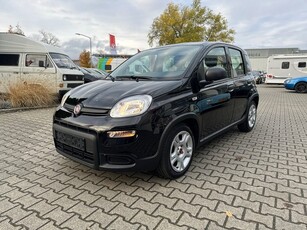 Fiat Panda 1.0 Hybrid RIJKLAARPRIJS/BOVAG GARANTIE