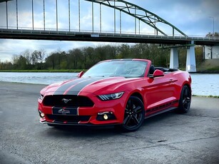 Ford Mustang Convertible 2.3 EcoBoost / 1 EIG / VOLLE