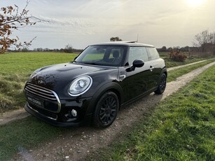 MINI Mini 1.5 Cooper Chili. Panoramadak,LED,Half leer.