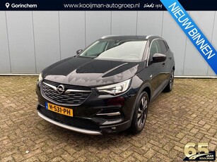 Opel Grandland X 1.2 Turbo Innovation 1e Eigenaar