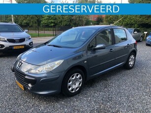 Peugeot 307 !VERKOCHTTTTT!!!!!