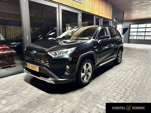 Toyota RAV4 2.5 Hybrid Business Intro zwart/blauw