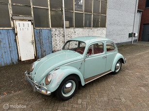 Super originele VW in topstaat