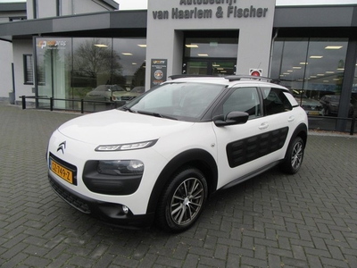 Citroën C4 Cactus 1.2 PureTech Business, Camera