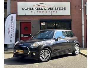 MINI Mini Business / Automaat / Navigatie / Cruise control .