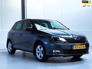 Skoda Fabia 1.2 TSI JOY Org NL 1e Eigenaar