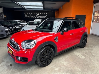 Mini Countryman Benzine