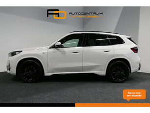 BMW X1 sDrive18i M-Sport / Shadow Line / Panoramadak / 20