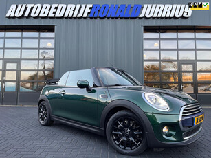 Mini Mini Cabrio 1.5 Cooper Pepper Serious Business NL.Auto/Cabriolet/Navigatie/Cruise-control/Stoelverwarming/Dealer Onderhouden