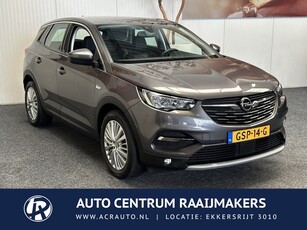 Opel Grandland X 1.2 Turbo Business Edition 10 op Voorraad