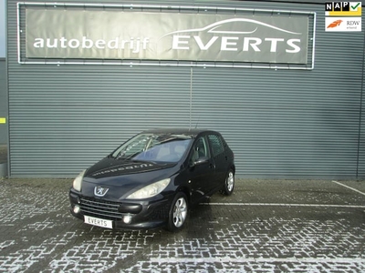 Peugeot 307 Benzine