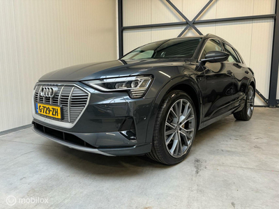 Audi e-tron e-tron 50 quattro Panoramadak, Leder, 22 inch