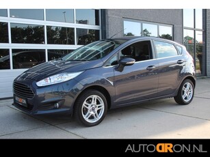 Ford Fiesta 1.0 Titanium 81 Pk 5 Deurs Navi Cruisecontrol