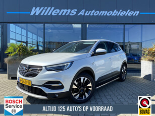 Opel Grandland X 1.2 Turbo Business Executive Leder & Stoelverwarming & App Connect & Camera