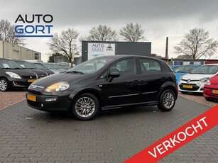 Fiat Punto Evo 1.3 M-Jet Dynamic Clima Cruise 5 Deurs