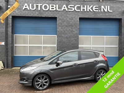 Ford Fiesta Benzine