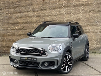 Mini Countryman Benzine