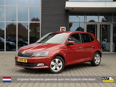 Skoda Fabia Benzine