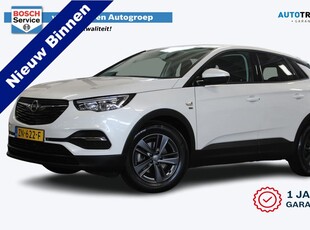 Opel Grandland X 1.2 Turbo 120 Jaar Edition | Incl. 12 maanden garantie | Automaat | Cruise | Apple CarPlay | Airco | Afneembare trekhaak | Lane assist | DAB radio | 1e eigenaar | 17'' LM | Getint glas | Parkeersensoren + Camera | Distributieriem is verv