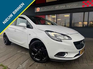 Opel Corsa VERKOCHT! 1.4 COLOR EDITION 5-DEURS (ZEER COMPLEET!)