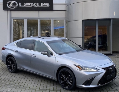 Lexus ES 300h Business F Sport Design BLIND-SPOT 19