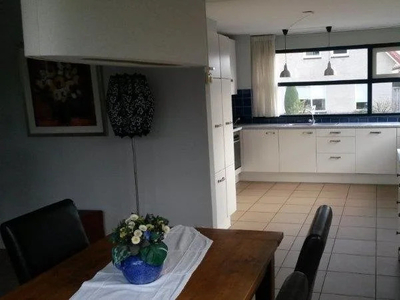 Woning te huur Spinnekopmolen, De Lutte