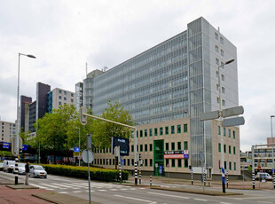 Zuidplein 316