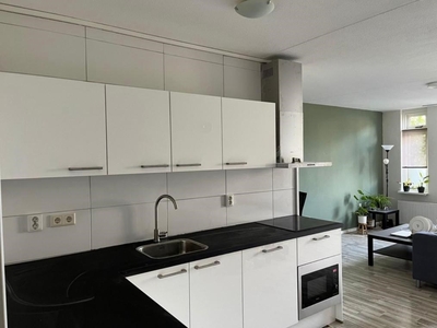 Appartement te huur Pietersburen, Leeuwarden