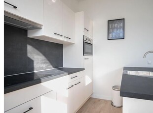 Huur 1 slaapkamer appartement van 43 m² in Rotterdam