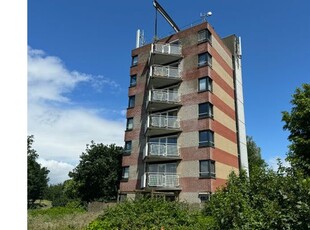 Huur 2 slaapkamer appartement van 72 m² in Helmond