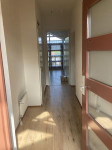 Appartement in Rijen met 3 kamers